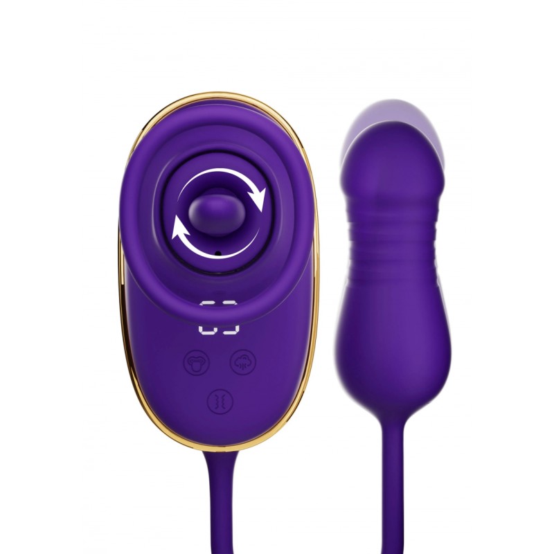 She.E.O stimulateur clitoridien et anal multifonction – double vibration