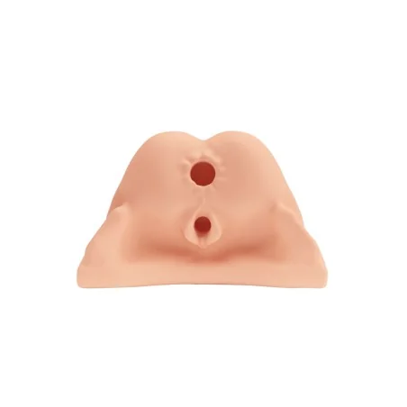 Accueil