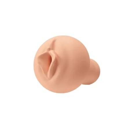 Accueil