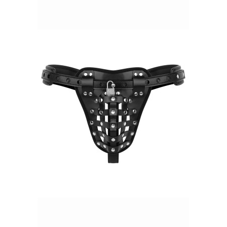 Accessoires SM
