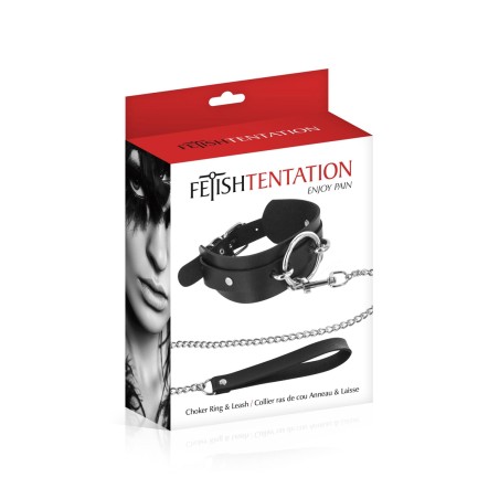 Collier et laisse
