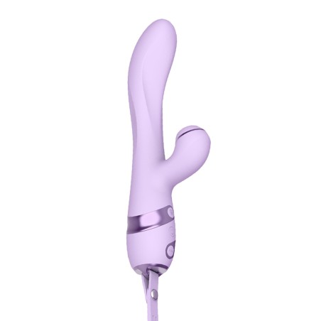 Rabbit