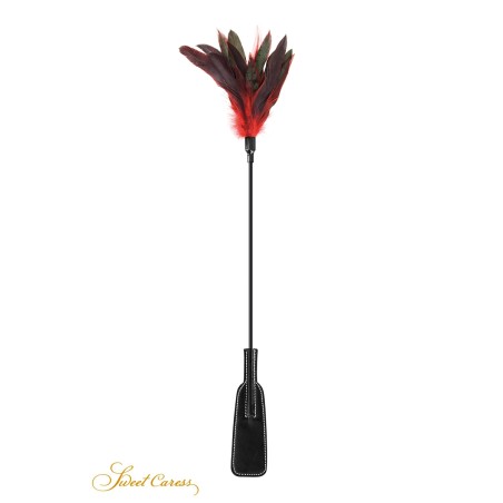 Cravaches et tapettes