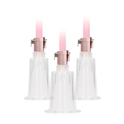 Pompe clitoris et tétons Large Pumped – Rose Gold