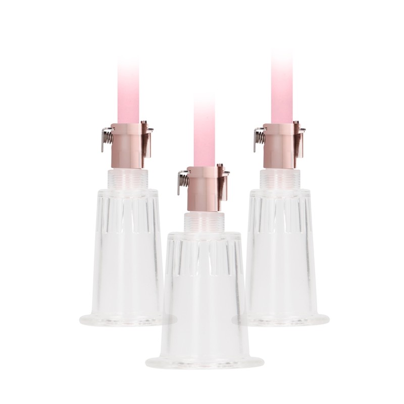 Pompe clitoris et tétons Large Pumped – Rose Gold