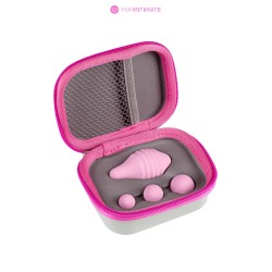 Pelvix Concept boules de Geisha rééducation périnéale Femintimate