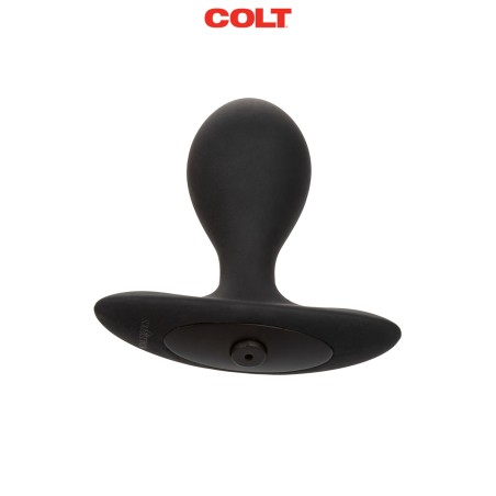 Collier et laisse