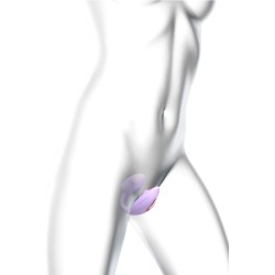 Wonderlover mauve Love to Love – double stimulateur télécommandé