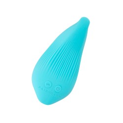 DelightfulWave mini vibro rechargeable bleu – FairyGasm