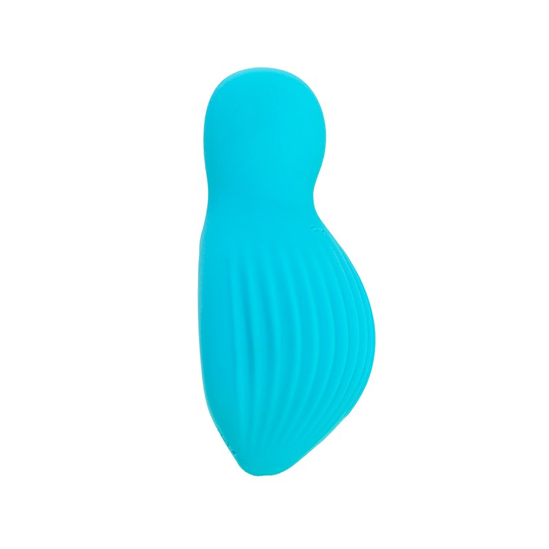 FairyGasm EnchantedDesire mini vibro rechargeable bleu silicone