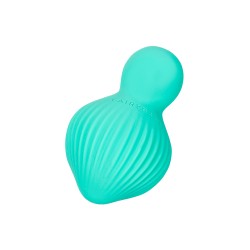 EnchantedDesire mini vibromasseur rechargeable vert Fairygasm