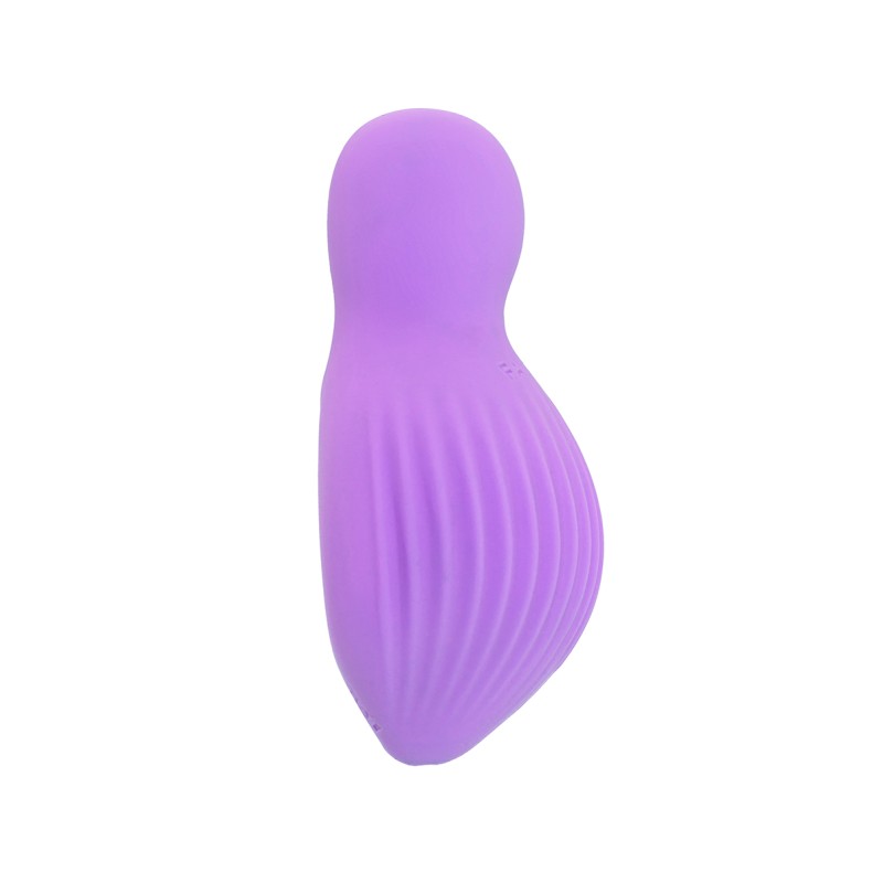 EnchantedDesire FairyGasm mini vibro rechargeable violet 10 modes