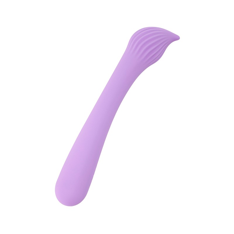 Vibromasseur rechargeable Passionmania violet Fairygasm - 10 modes