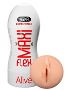 Plaisir masculin