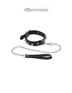Collier et laisse
